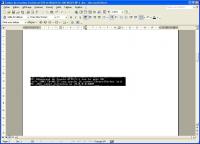 Word 2002