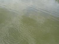 Water surface