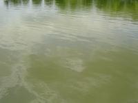Water surface