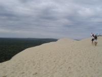Pyla dune