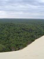Pyla dune