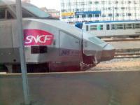 TGV "nose" after collision with a cow