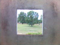 Green square