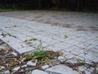old dancing area