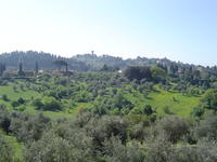Under Tuscan sun, green and blue - Firenze