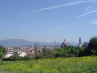 View to the city, from Boboli garden, flower field - Firenze