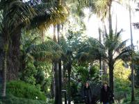 Botanical garden of Lisboa