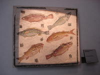 Mosaic : species of fishes